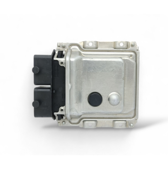 Ford Fiesta Motor Beyni