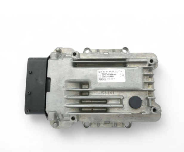 Ford Transit Motor Beyni